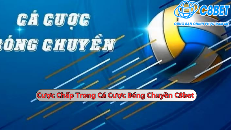 Cược chấp trong cá cược bóng chuyền C8bet