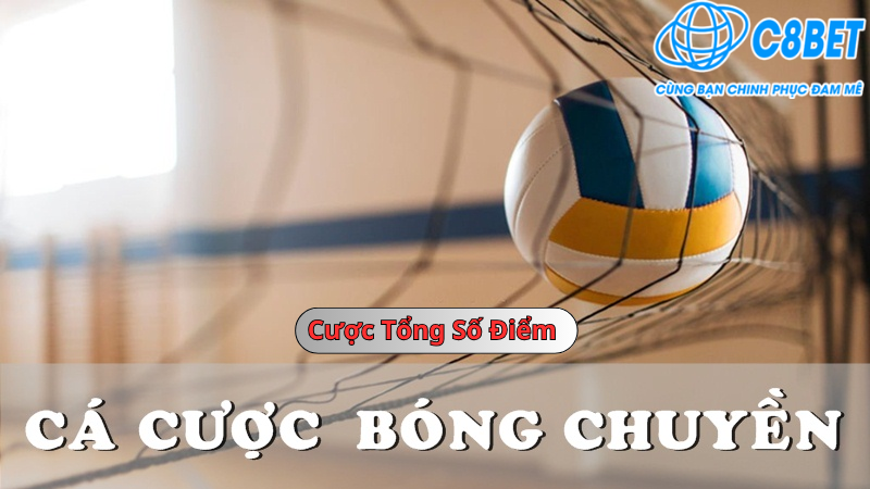 Cược bóng chuyền cược tổng số điểm C8bet