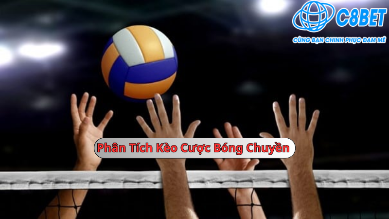 Phân tích kèo cược bóng chuyền C8bet